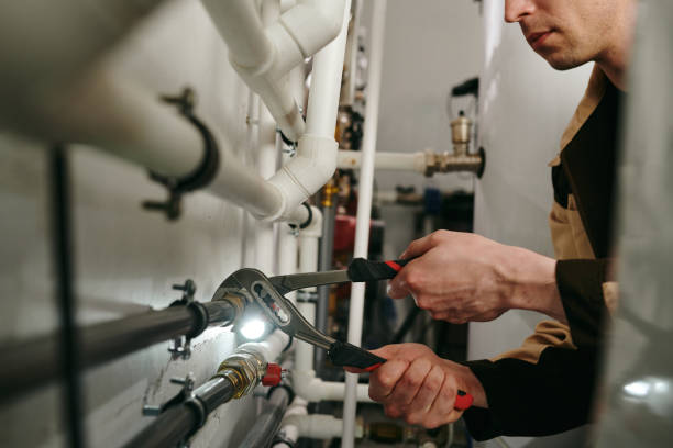 Best Plumbing Services Near Me  in Beechwood, MI