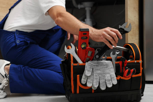 Best Emergency Plumber  in Beechwood, MI