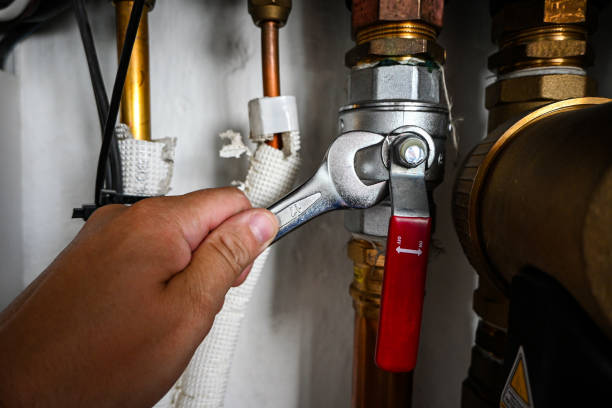 Best Local Plumber Services  in Beechwood, MI